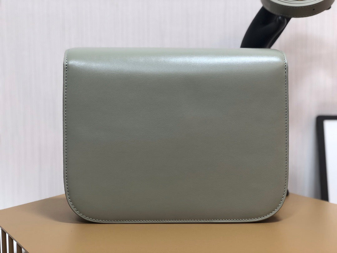 Celine Classic Box Medium Bag In Light Green Box Calfskin