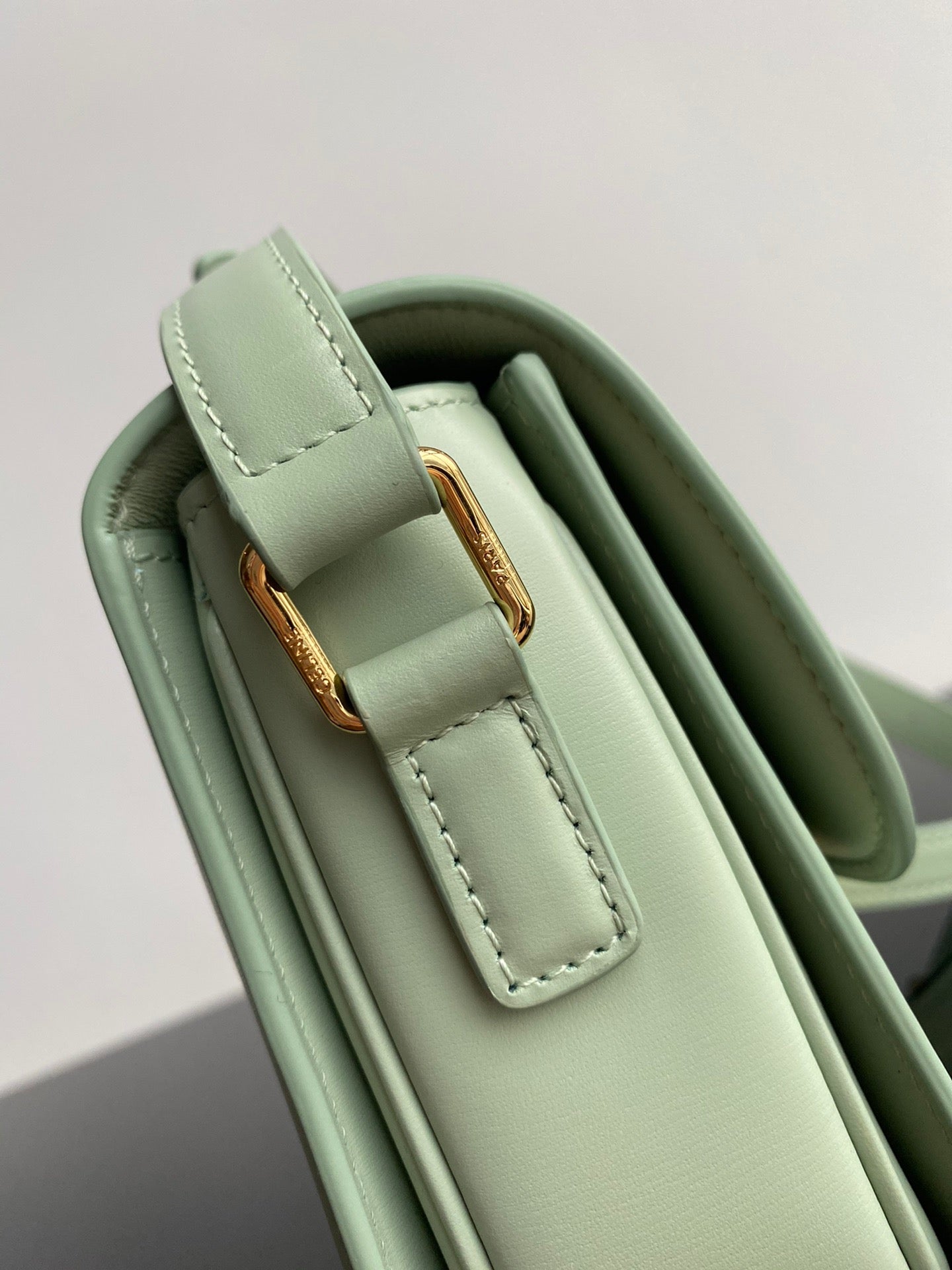 Celine Triomphe Teen Bag In Light Green Leather