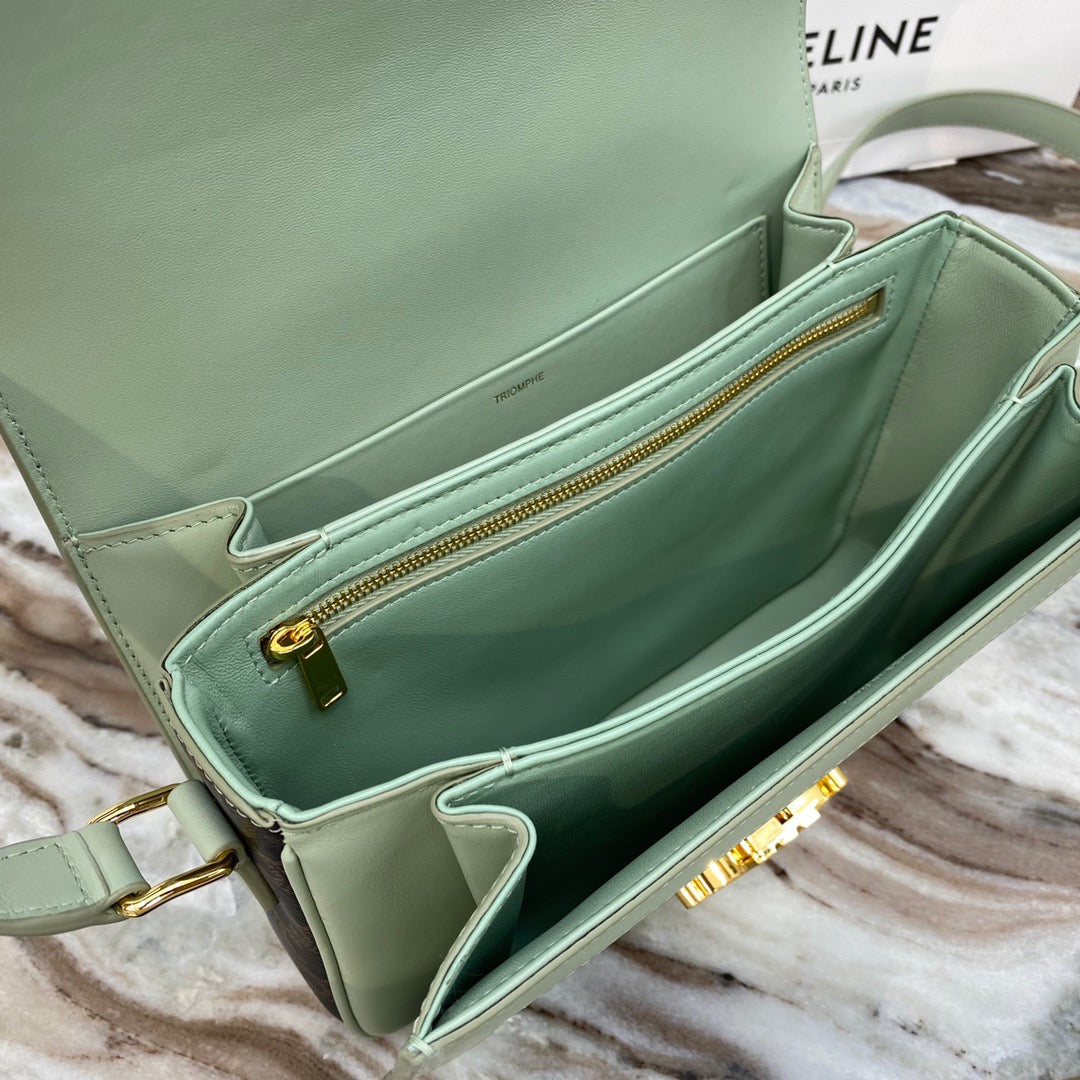 Celine Classic Triomphe Medium Bag In Green Vintage Canvas Box