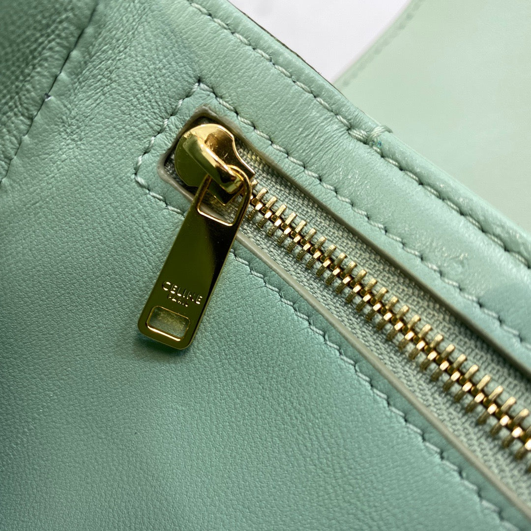 Celine Classic Triomphe Medium Bag In Green Vintage Canvas Box