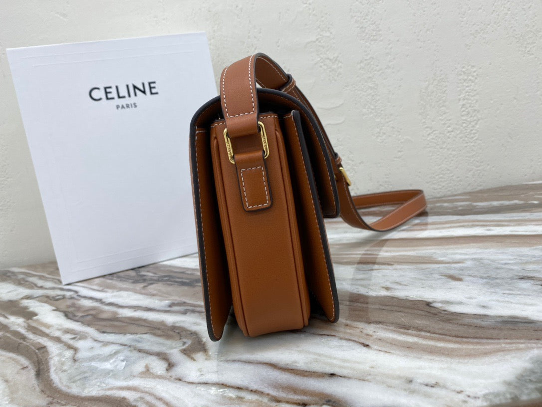 Celine Classic Triomphe Medium Bag In Presbyopic Retro Bag