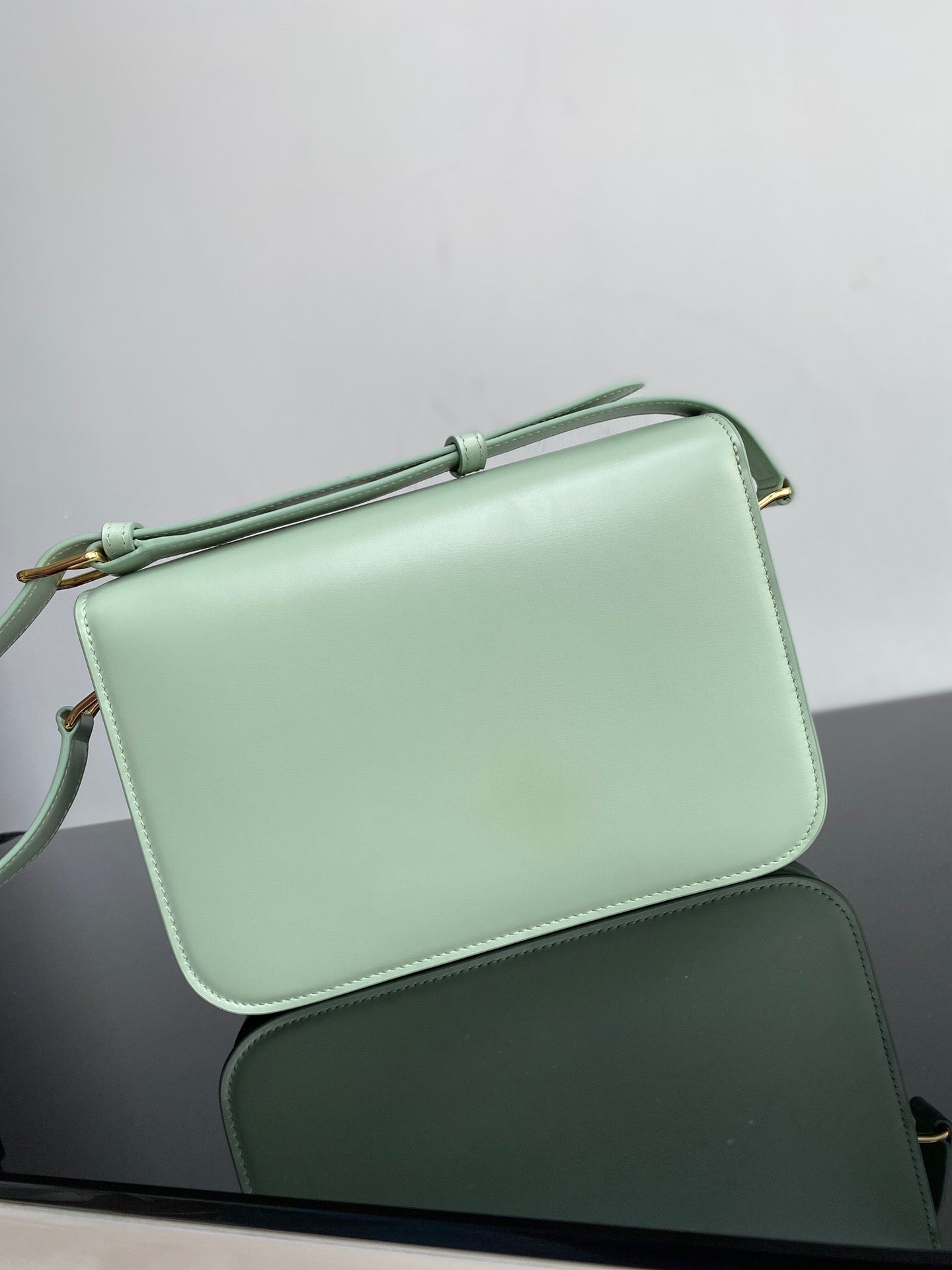 Celine Triomphe Medium Bag In  Mint Green Smooth Calfskin