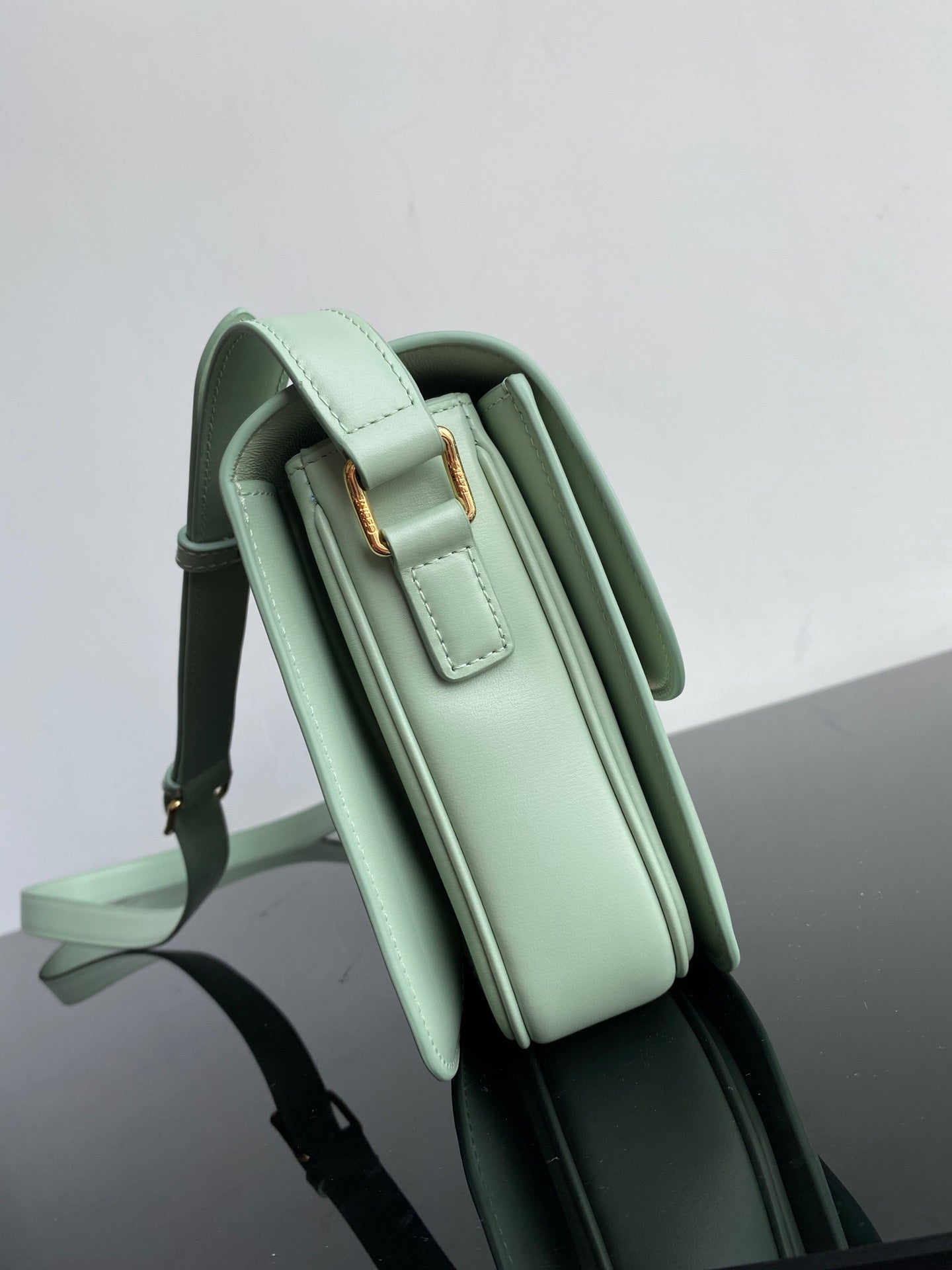 Celine Triomphe Medium Bag In  Mint Green Smooth Calfskin