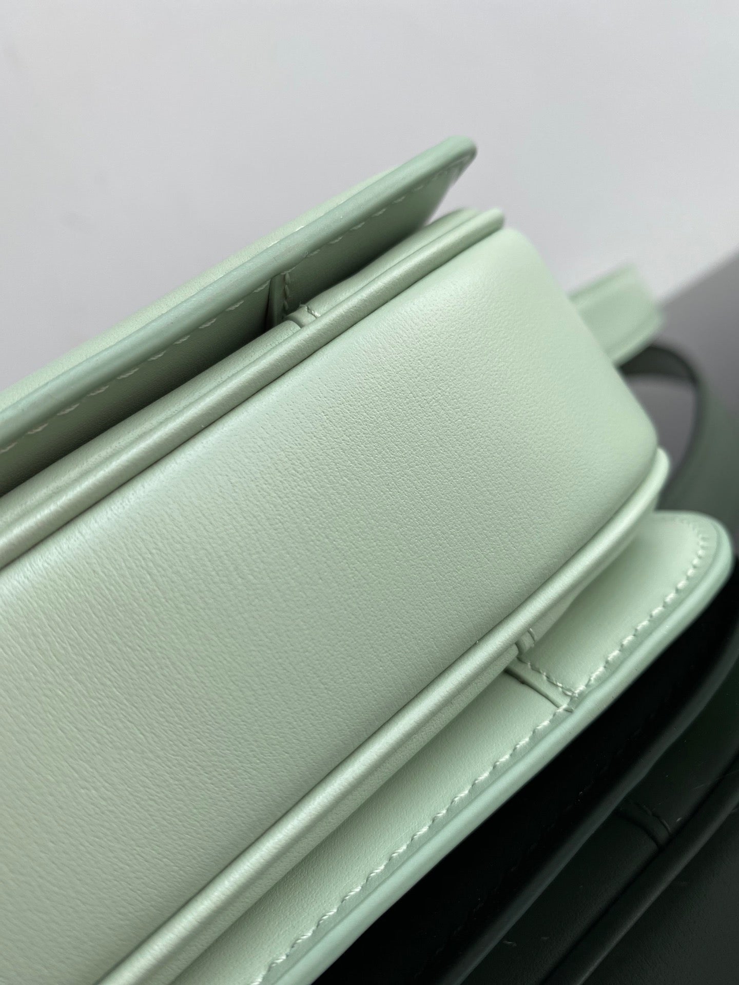 Celine Triomphe Medium Bag In  Mint Green Smooth Calfskin