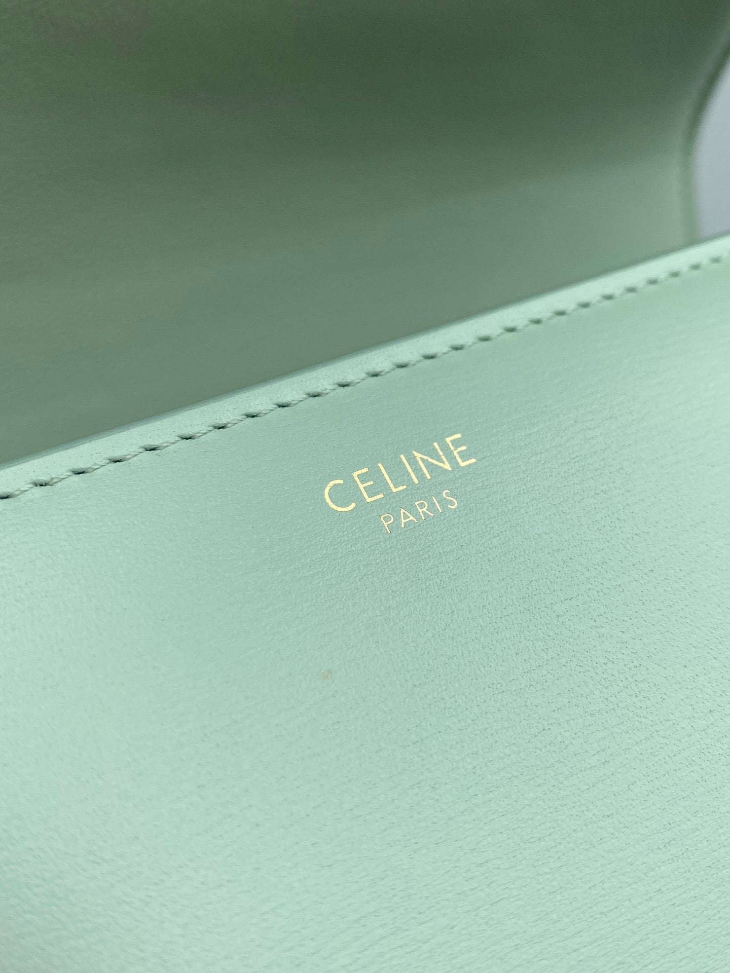 Celine Triomphe Medium Bag In  Mint Green Smooth Calfskin