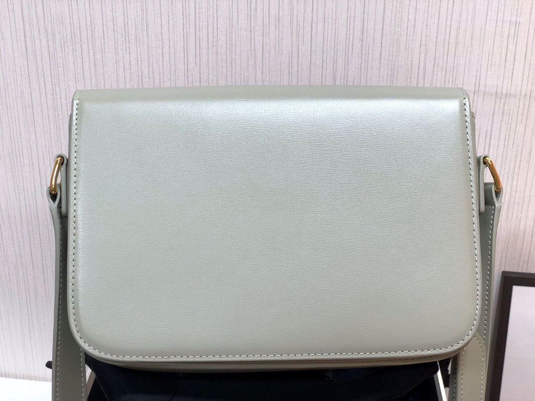 Celine Triomphe Medium Bag In Light Green Smooth Calfskin