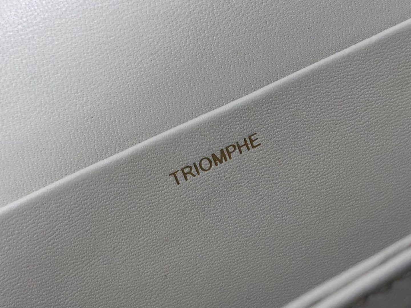 Celine Triomphe Medium Bag In White Smooth Calfskin