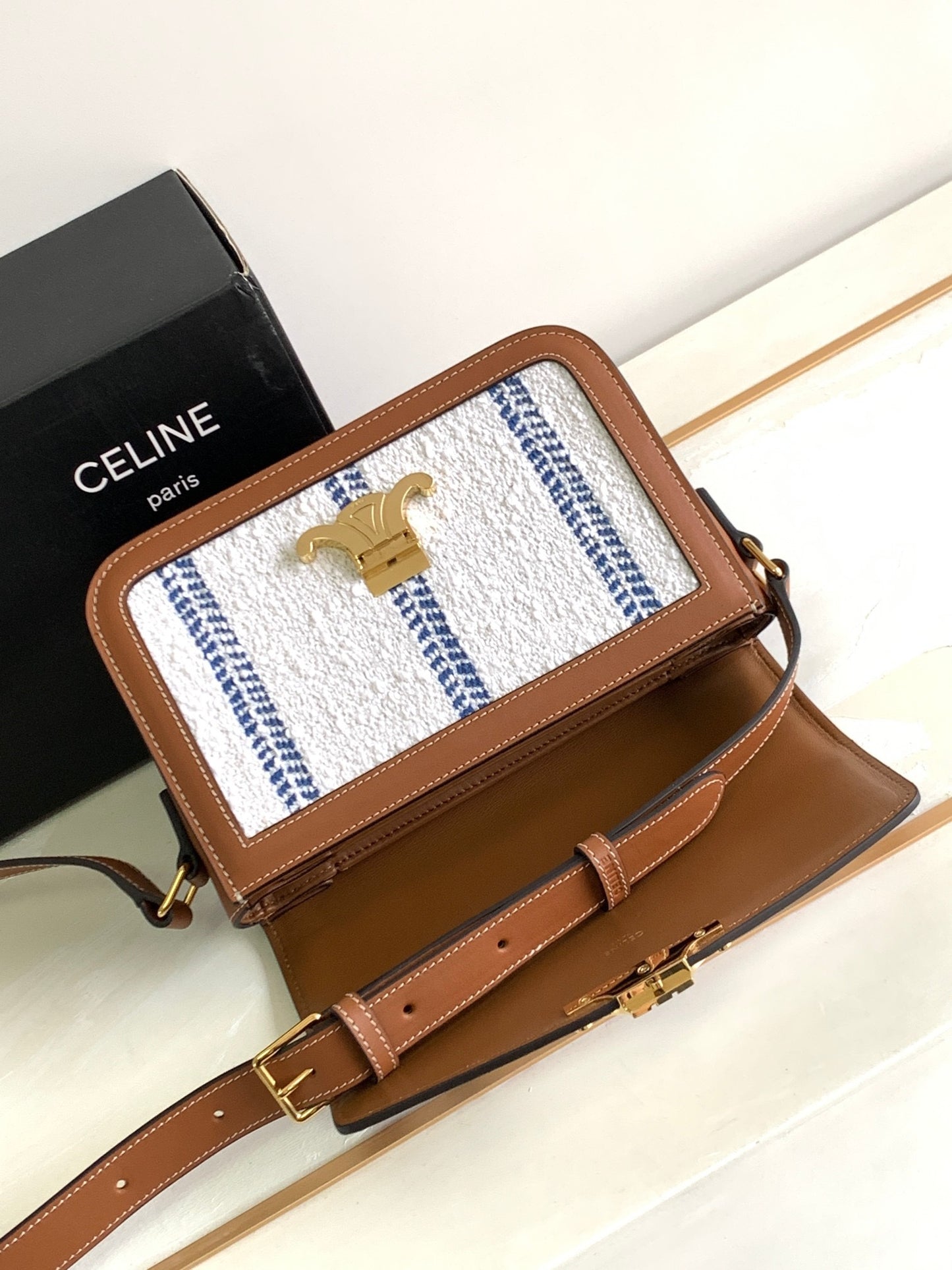 Celine Classic Triomphe Medium In Presbyopic Retro Bag