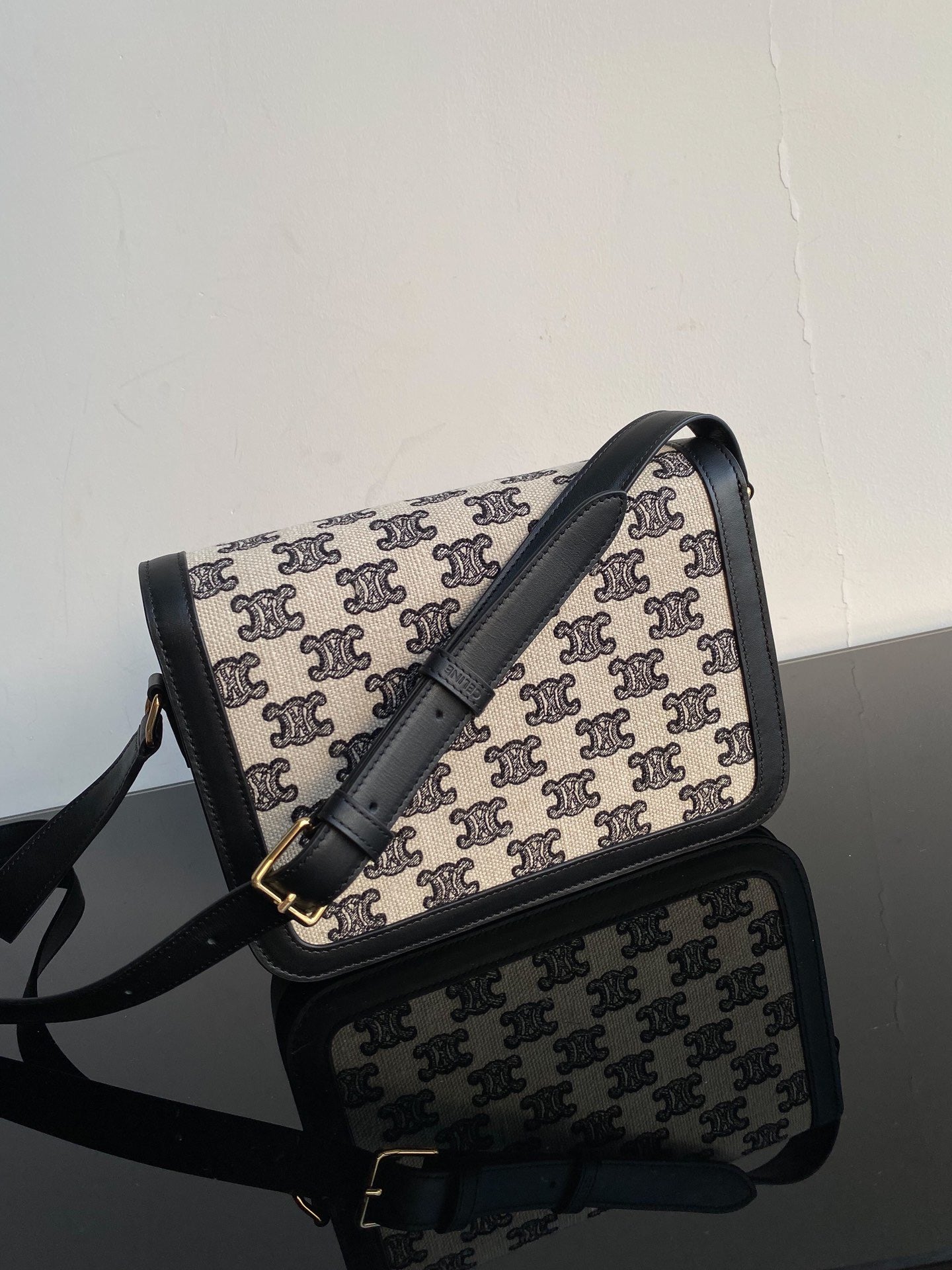 Celine Classic Triomphe Large In Presbyopic Retro Bag