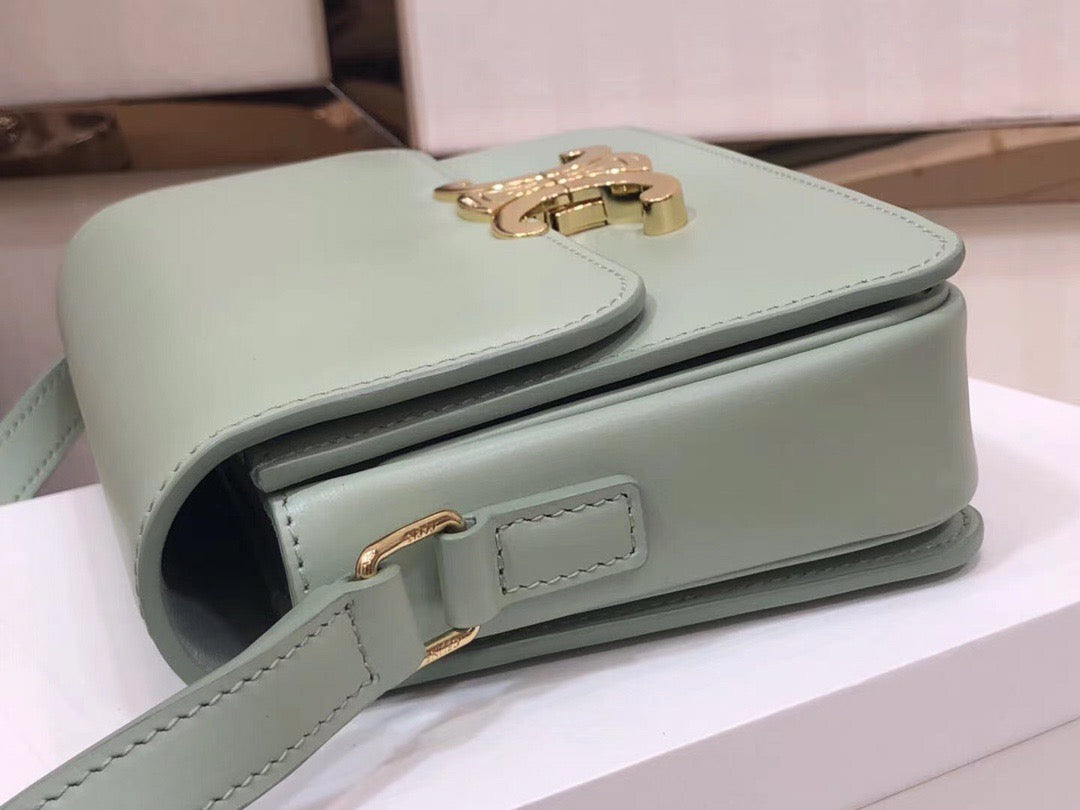 Celine Triomphe Large Bag In  Mint Green Calfskin