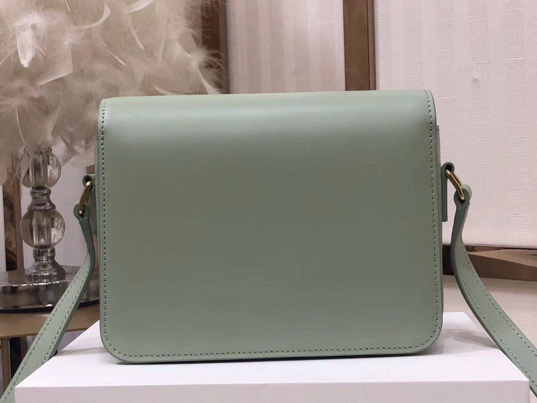 Celine Triomphe Large Bag In  Mint Green Calfskin