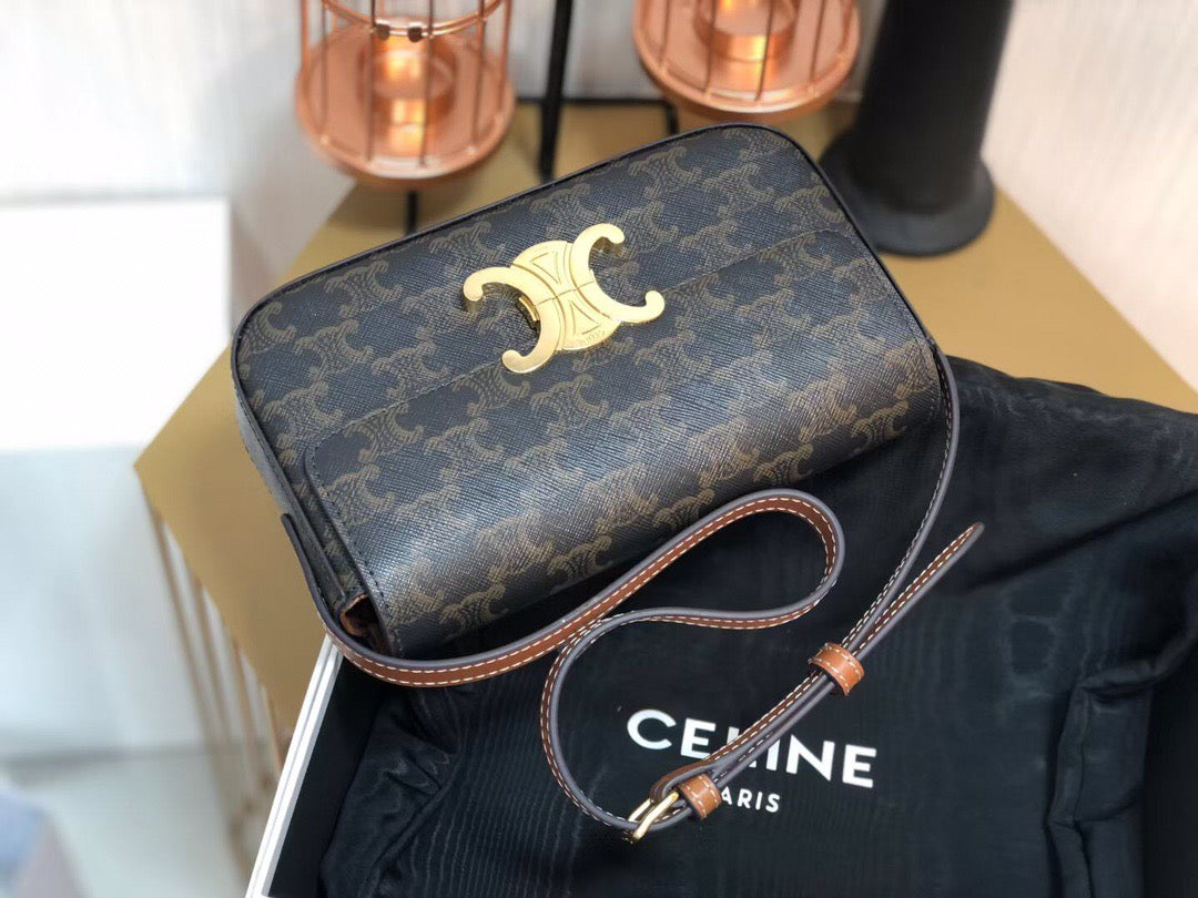 Celine Triomphe Shoulder Bag In Presbyopic Canvas And Calfskin