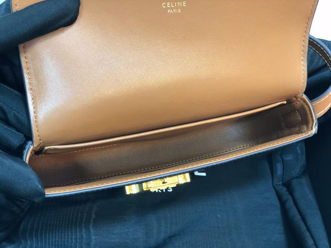 Celine Triomphe Shoulder Bag In Presbyopic Canvas And Calfskin