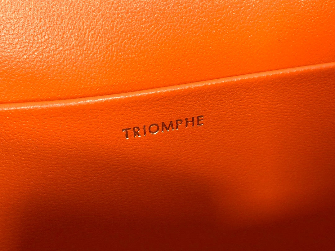 Celine Claude Shoulder Bag in Orange Calfskin