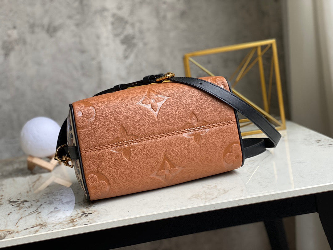 LV Speedy 25 In Brown Leopard Print Series