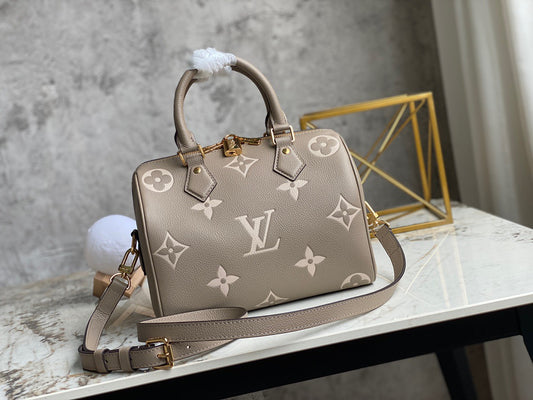 LV Speedy 25 In Gray Silk Screen Series