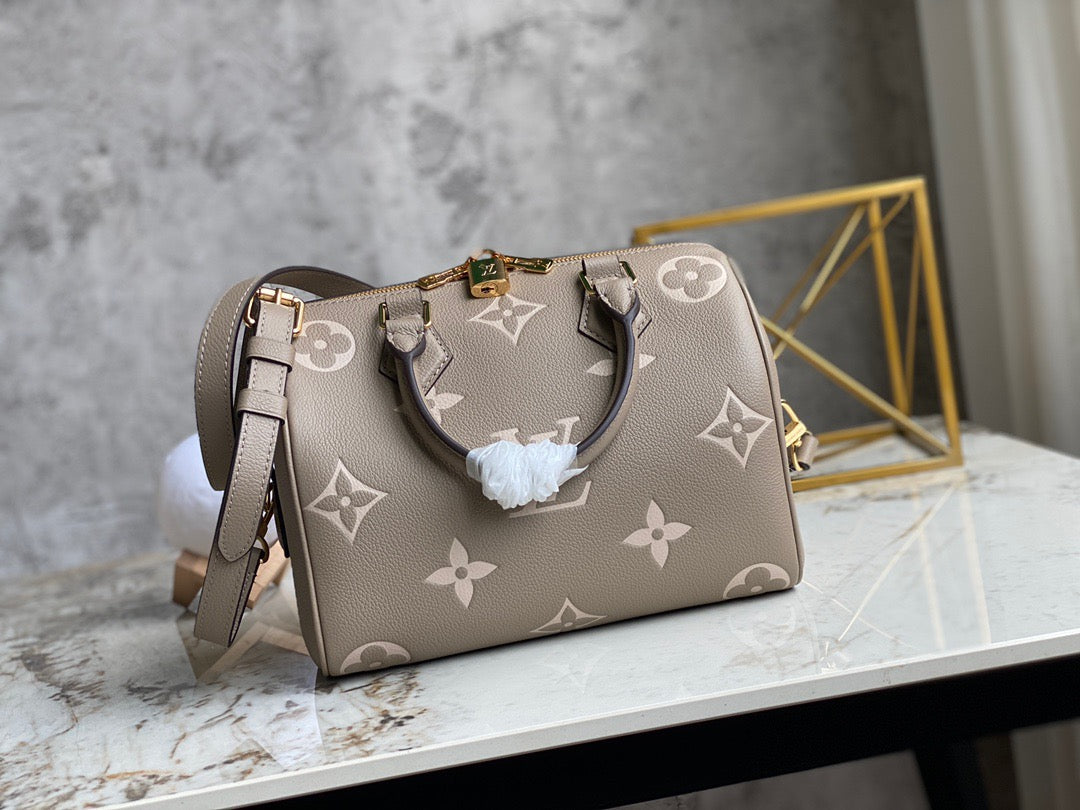 LV Speedy 25 In Gray Silk Screen Series