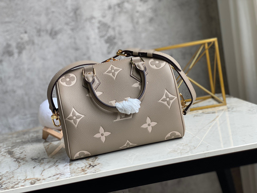 LV Speedy 25 In Gray Silk Screen Series