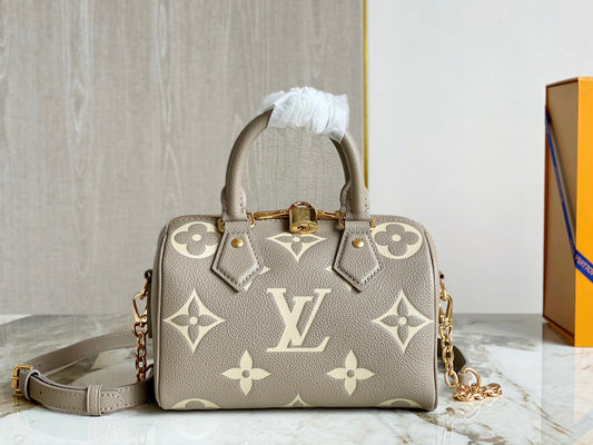 LV Speedy 20 In Gray Print Series