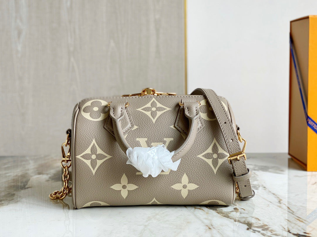 LV Speedy 20 In Gray Print Series