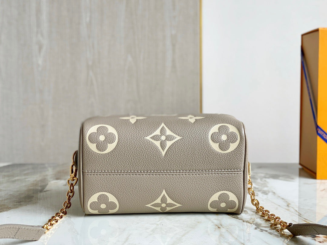 LV Speedy 20 In Gray Print Series