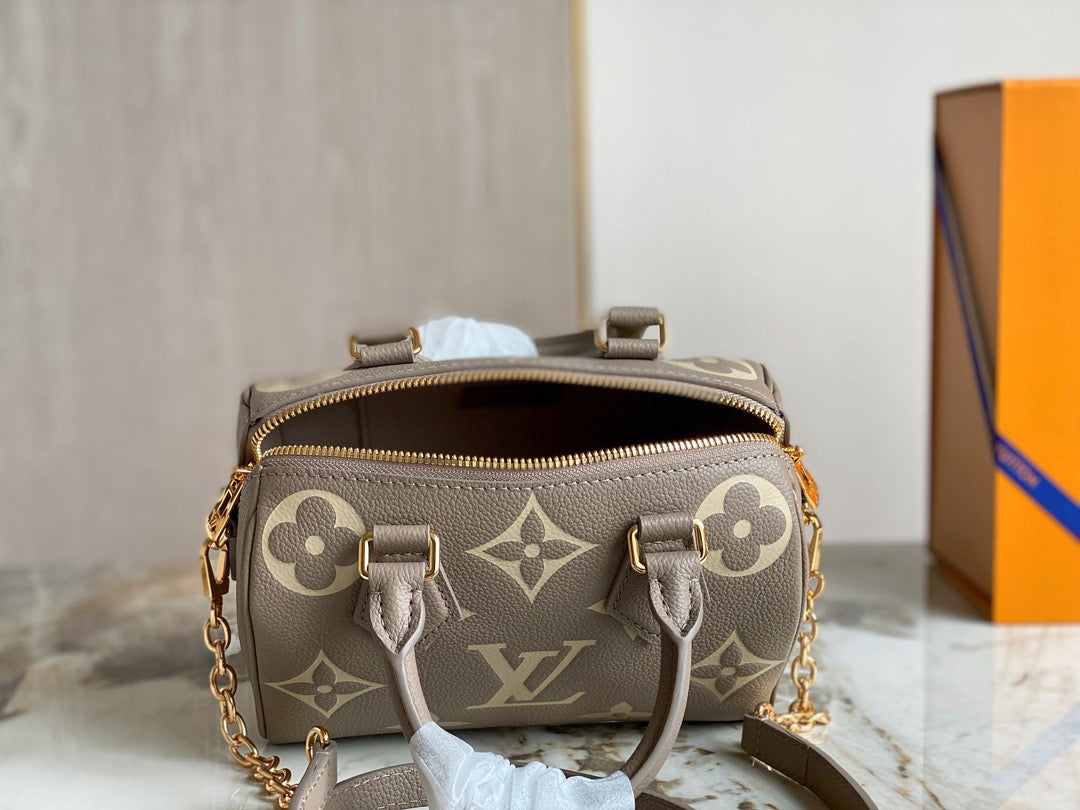 LV Speedy 20 In Gray Print Series