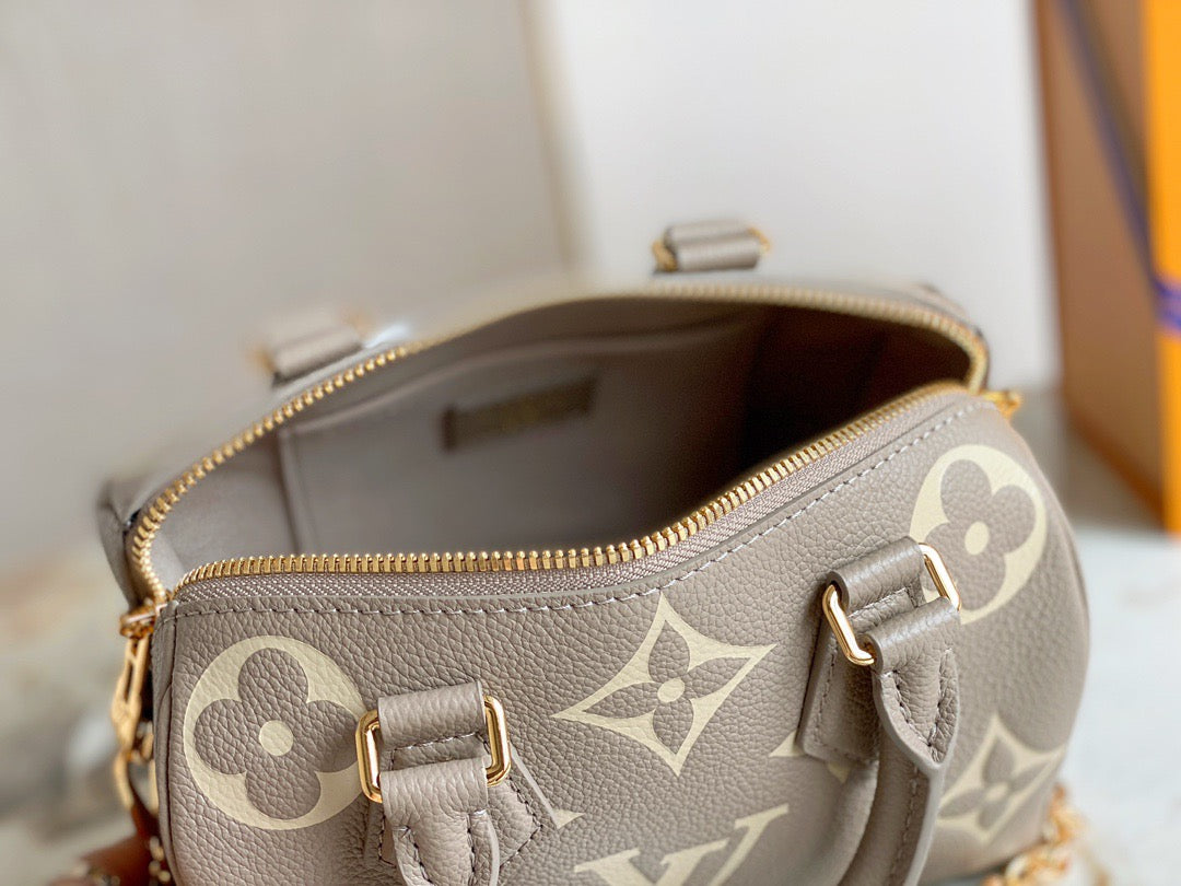 LV Speedy 20 In Gray Print Series