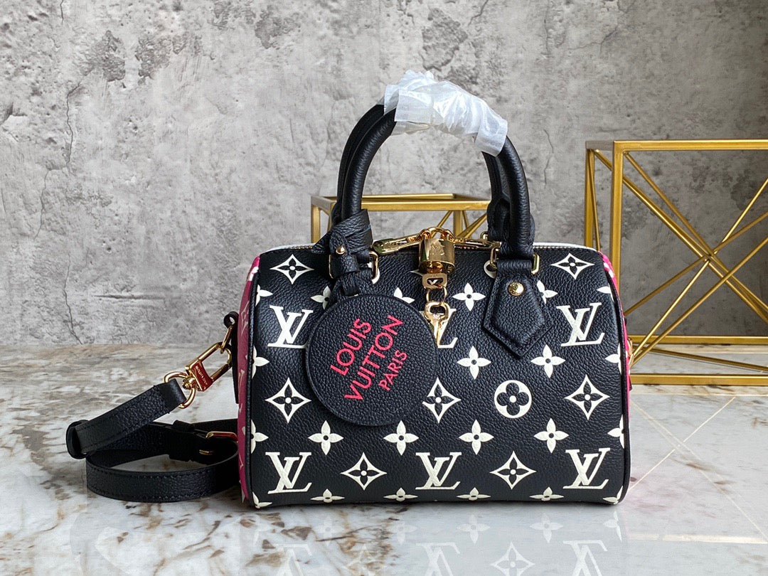 LV Speedy 20 Classic Double-sided Color Matching