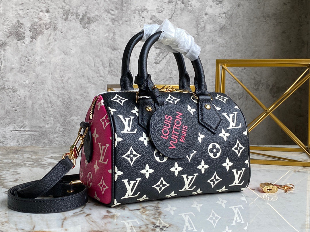 LV Speedy 20 Classic Double-sided Color Matching