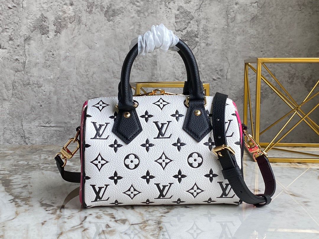 LV Speedy 20 Classic Double-sided Color Matching