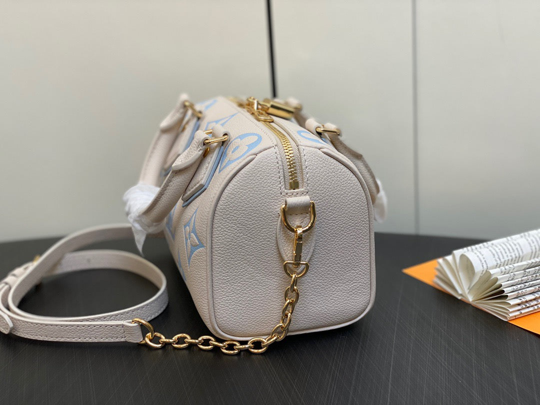 LV Speedy 20 Sea Salt Cheese Series