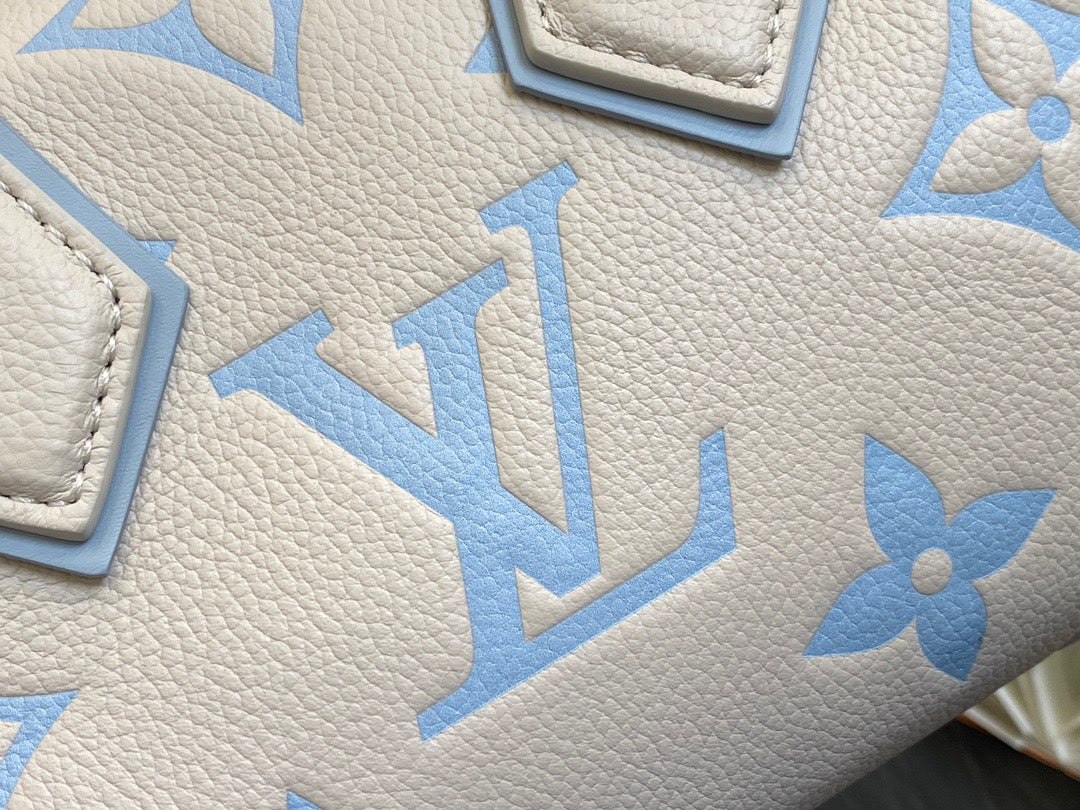 LV Speedy 20 Sea Salt Cheese Series