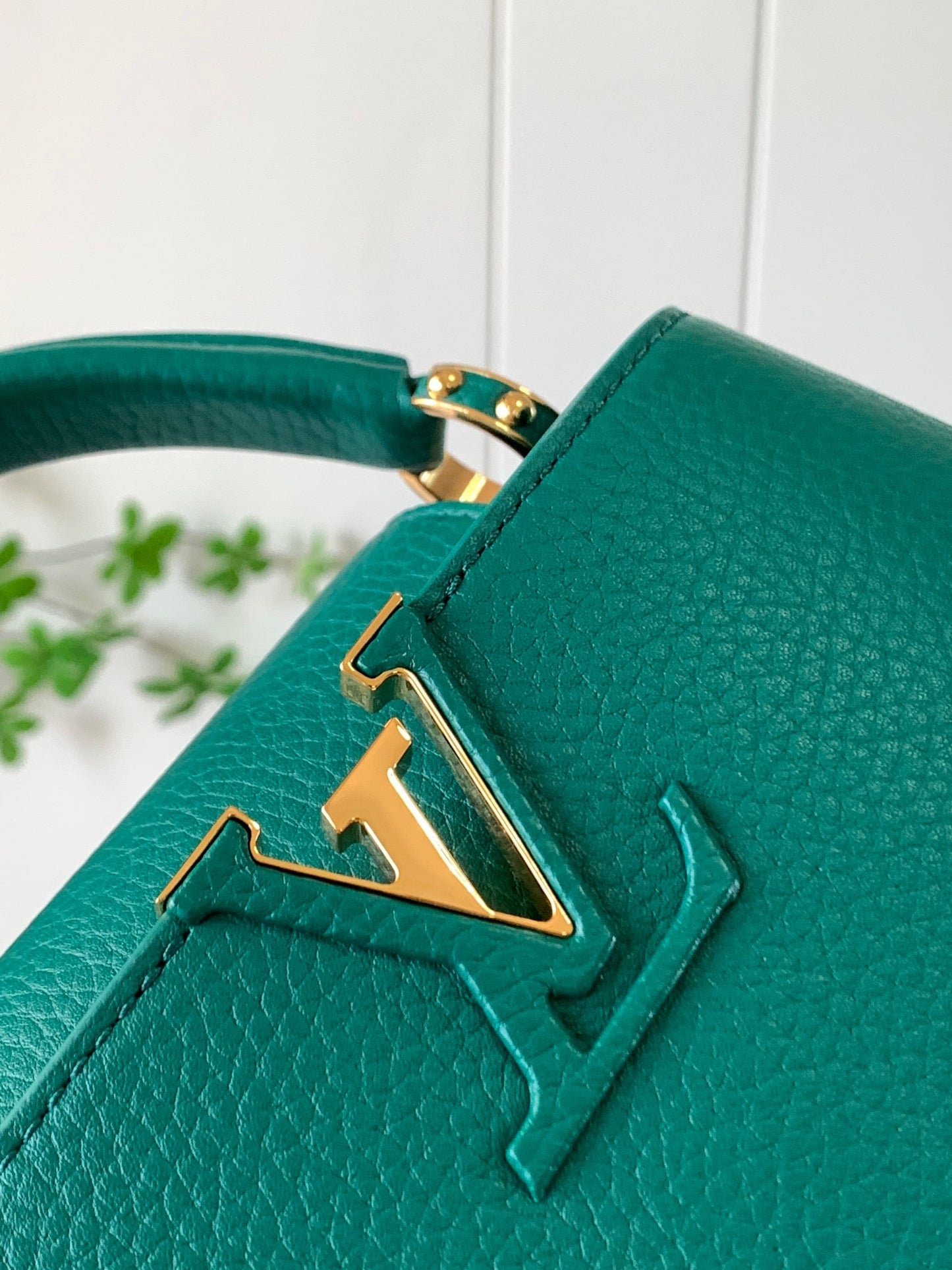 Louis Vuitton Capucines Mini  Bag In Dark Green