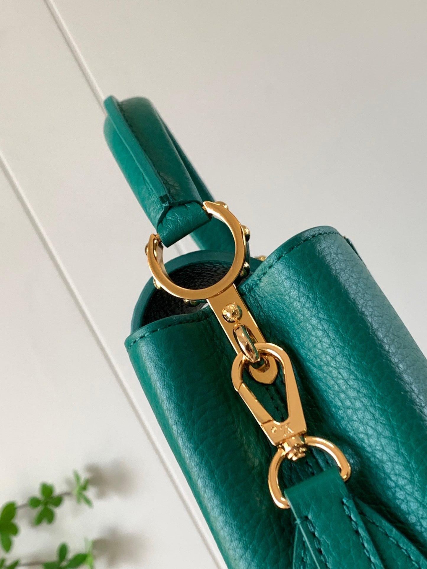 Louis Vuitton Capucines Mini  Bag In Dark Green