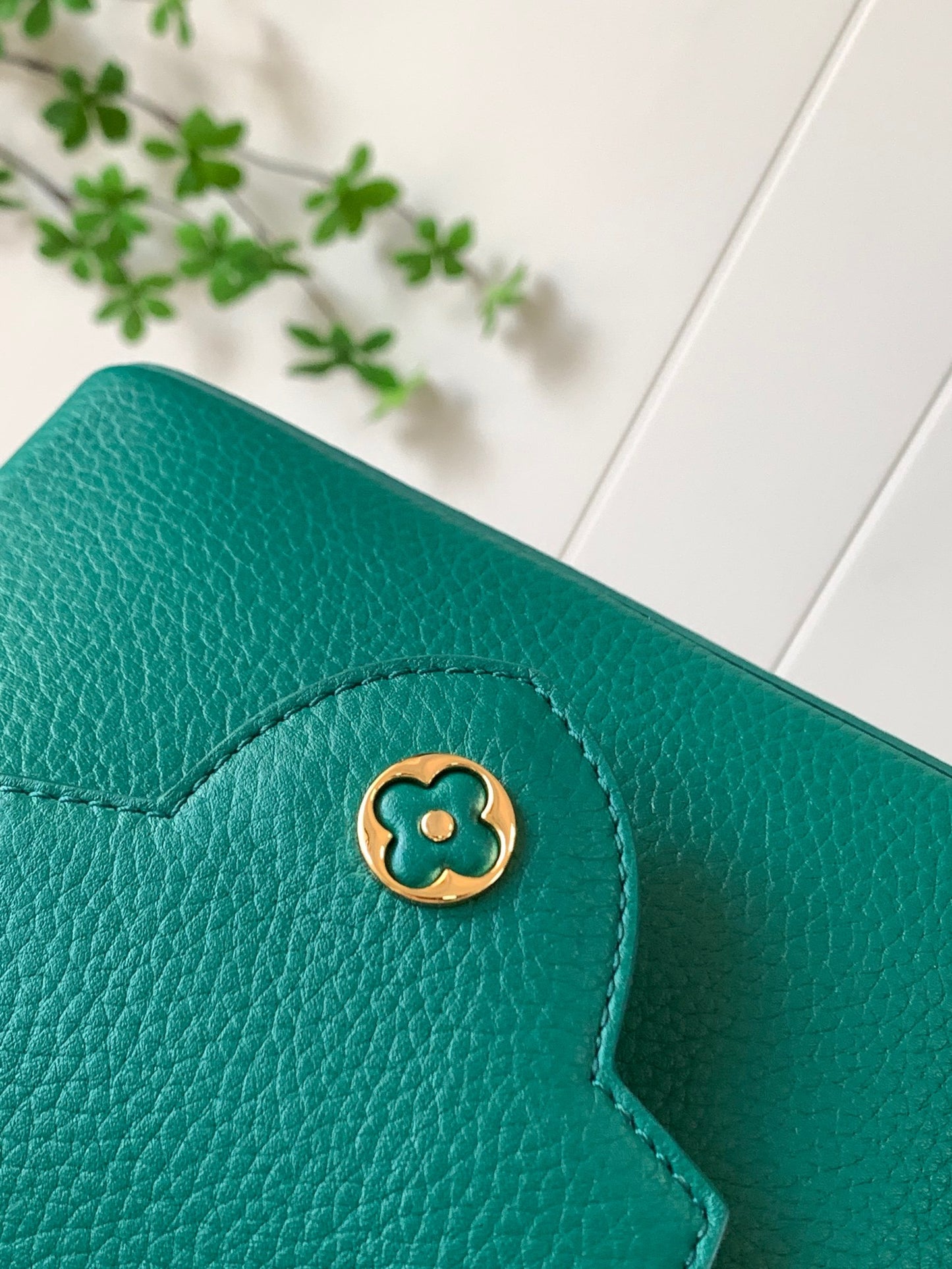 Louis Vuitton Capucines Mini  Bag In Dark Green