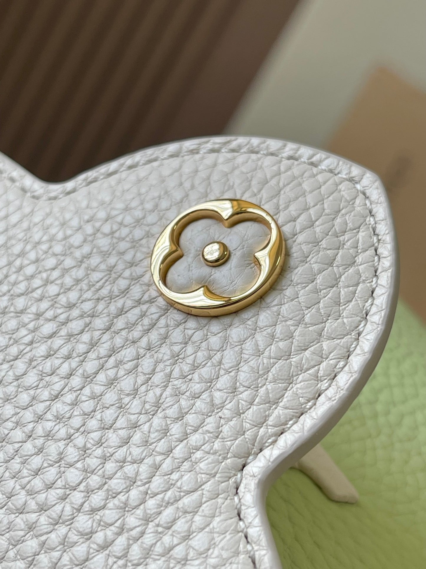 Louis Vuitton Capucines Mini  Bag In Avocado Green