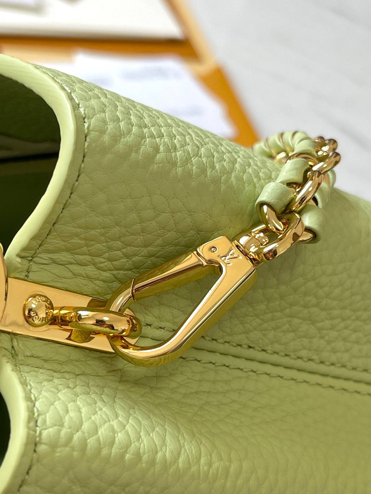 Louis Vuitton Capucines Mini  Bag In Avocado Green