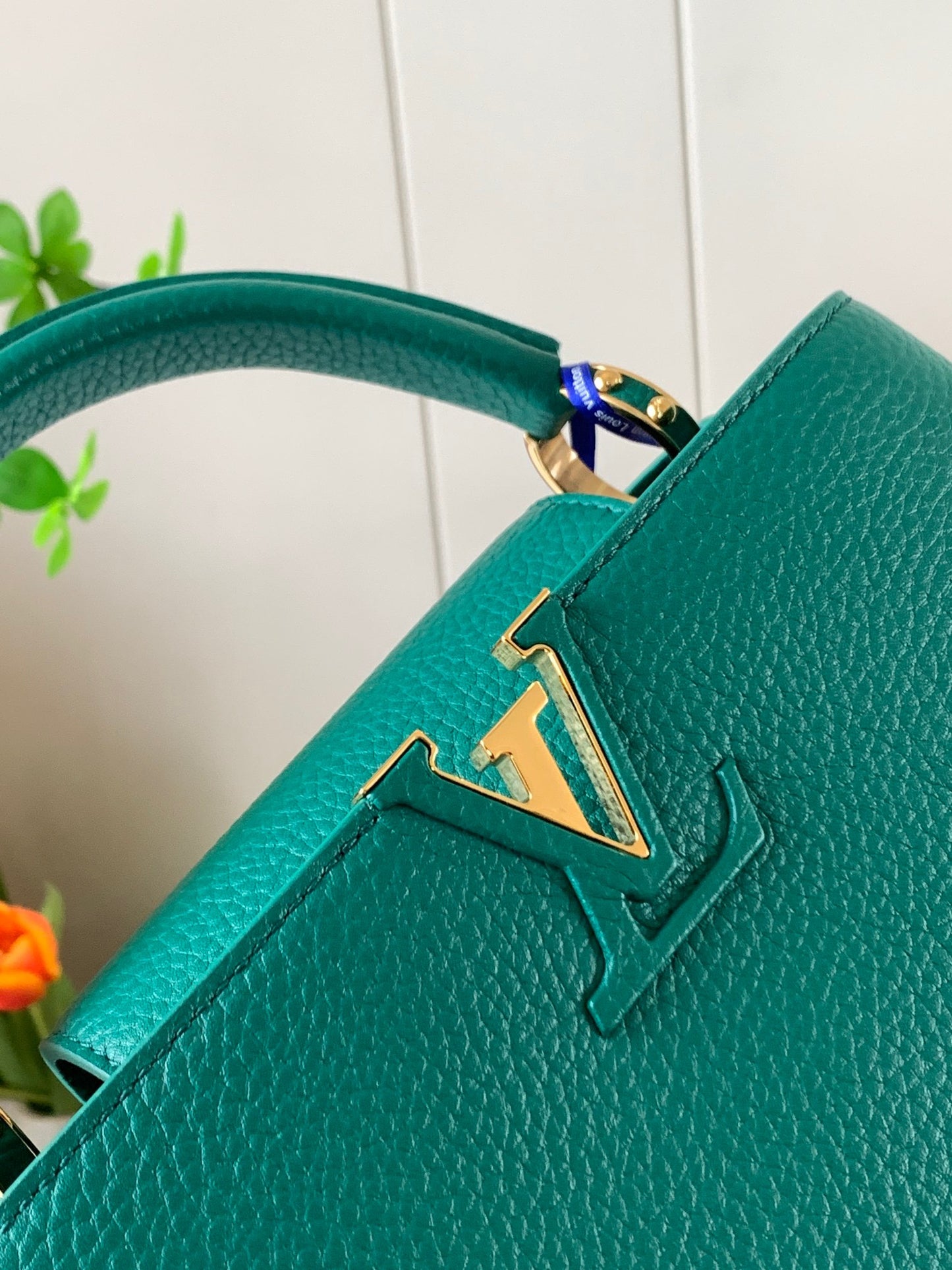 Louis Vuitton Capucines Small  Bag In Dark Green