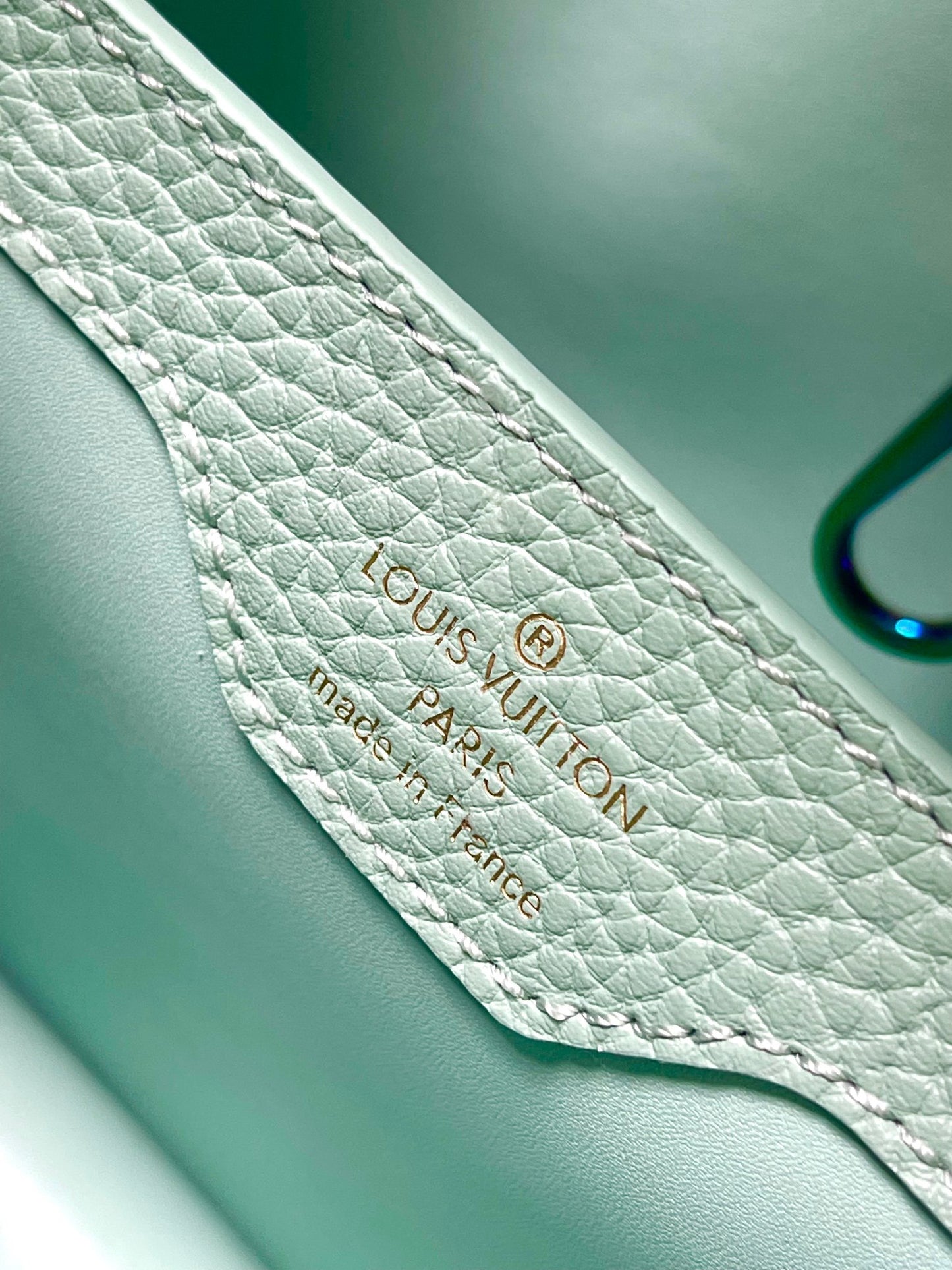 Louis Vuitton Capucines Small  Bag In Mint Green