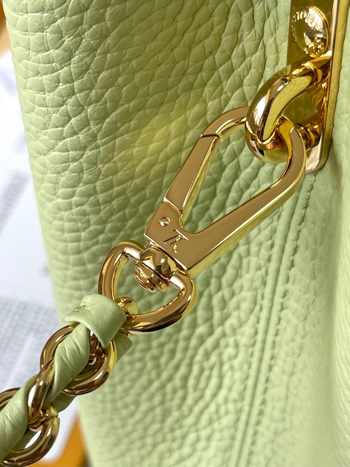 Louis Vuitton Capucines Small  Bag In Light Green