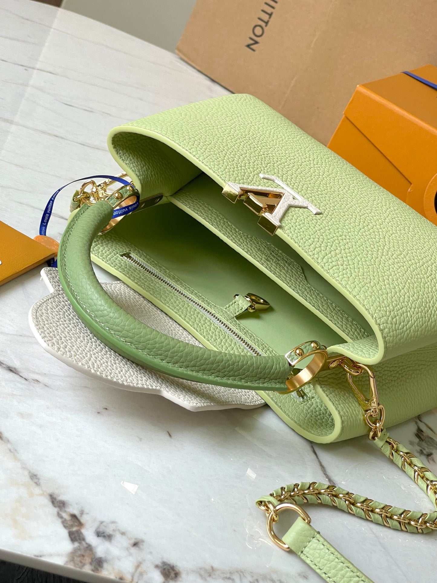 Louis Vuitton Capucines Small  Bag In Light Green