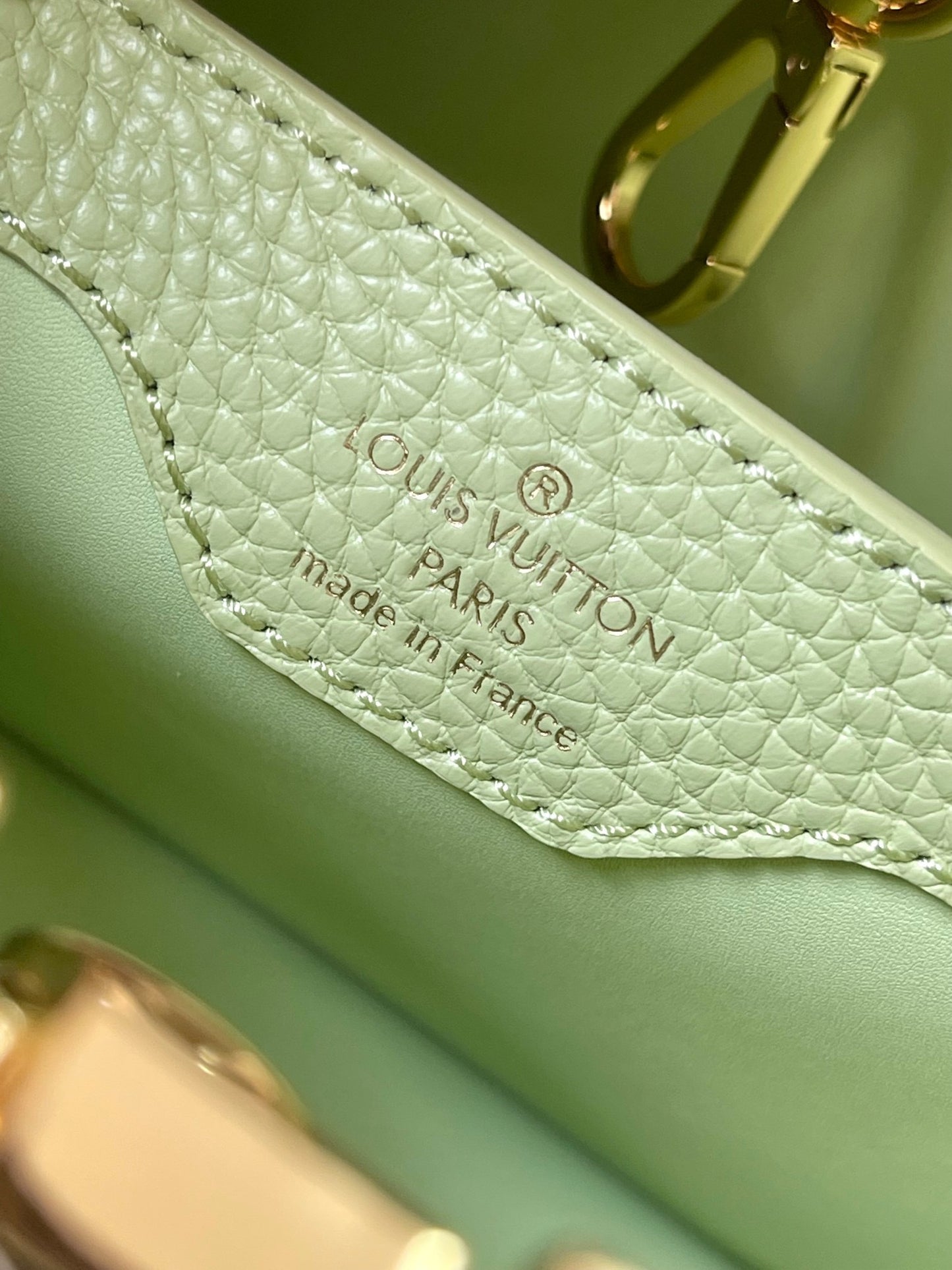 Louis Vuitton Capucines Small  Bag In Light Green