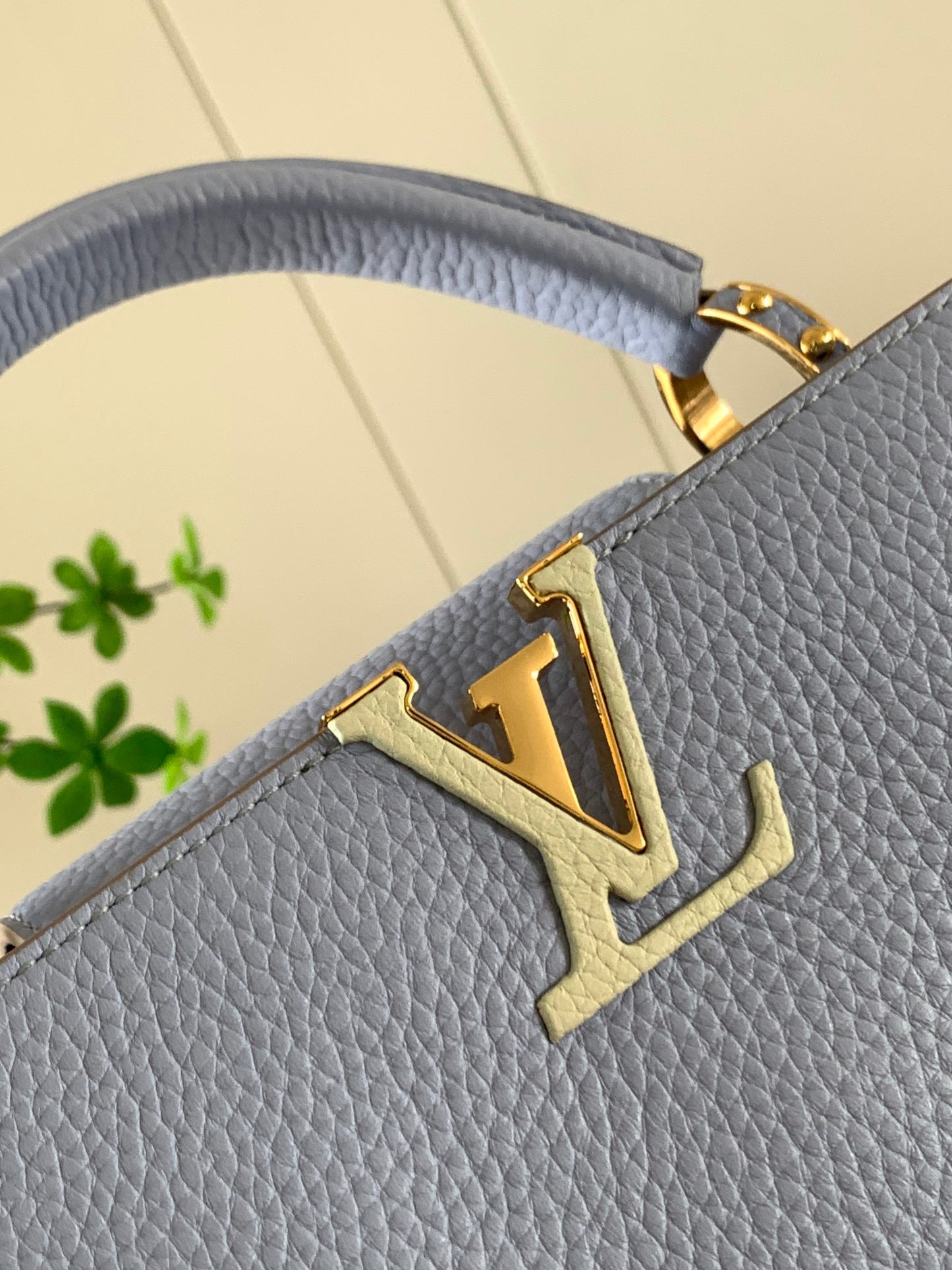 Louis Vuitton Capucines Small  Bag In Blue