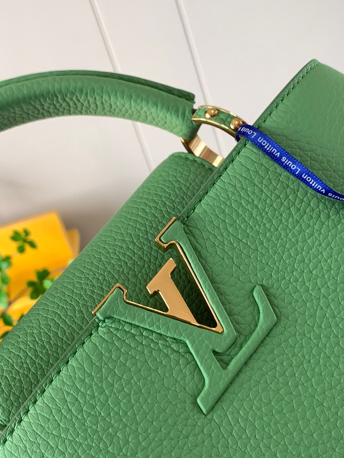 Louis Vuitton Capucines Small  Bag In Green