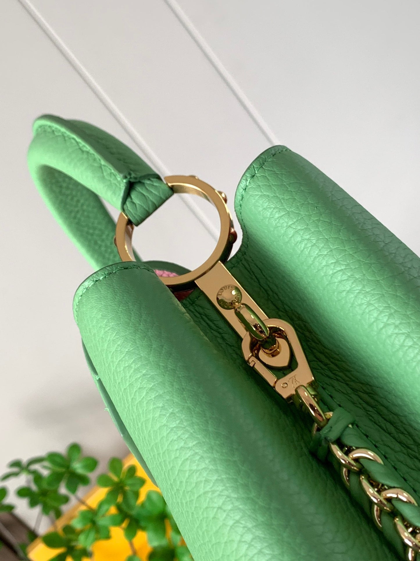 Louis Vuitton Capucines Small  Bag In Green