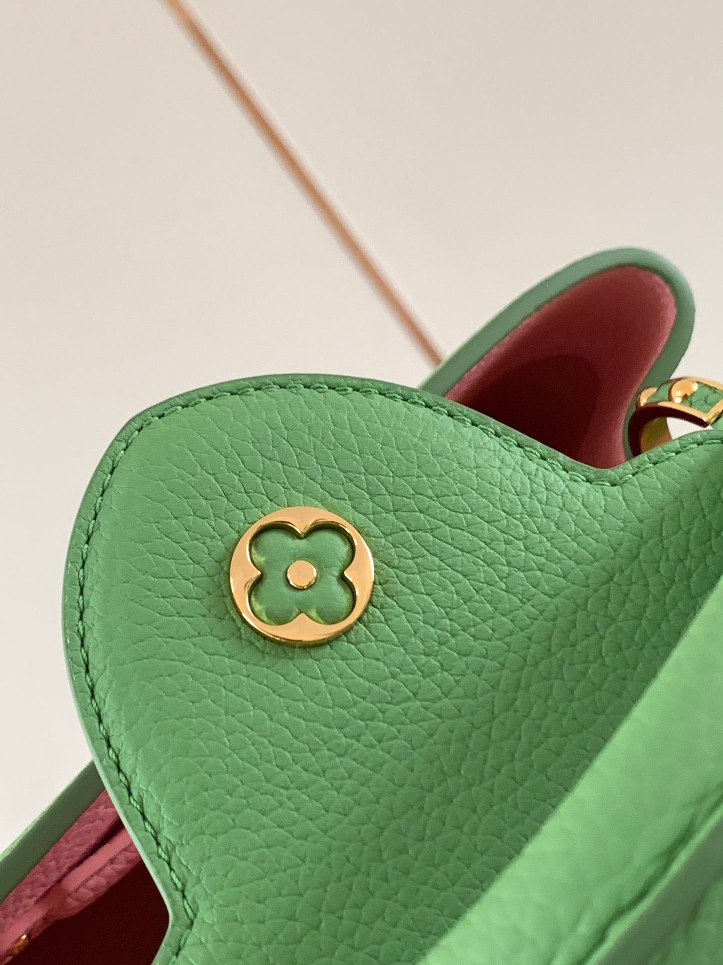 Louis Vuitton Capucines Small  Bag In Green