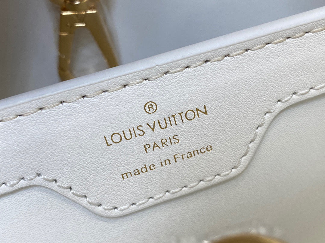 Louis Vuitton Capucines Small  Bag In White Embroidered Bag