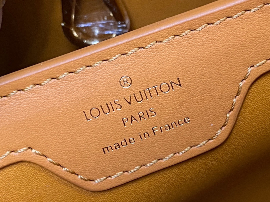 Louis Vuitton Capucines Small  Bag In Khaki With Embroidered Pattern