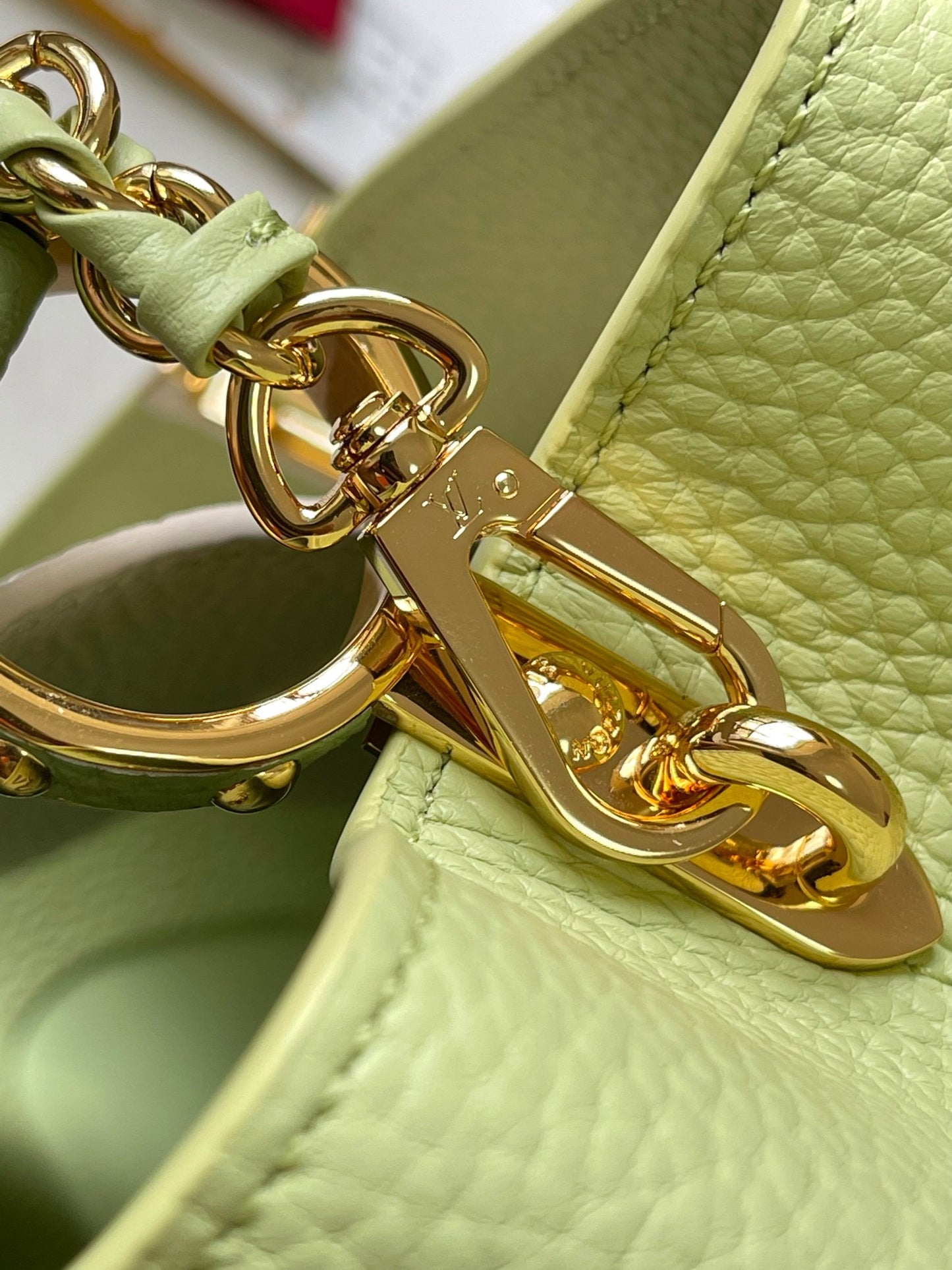 Louis Vuitton Capucines Medium Bag In Avocado Green