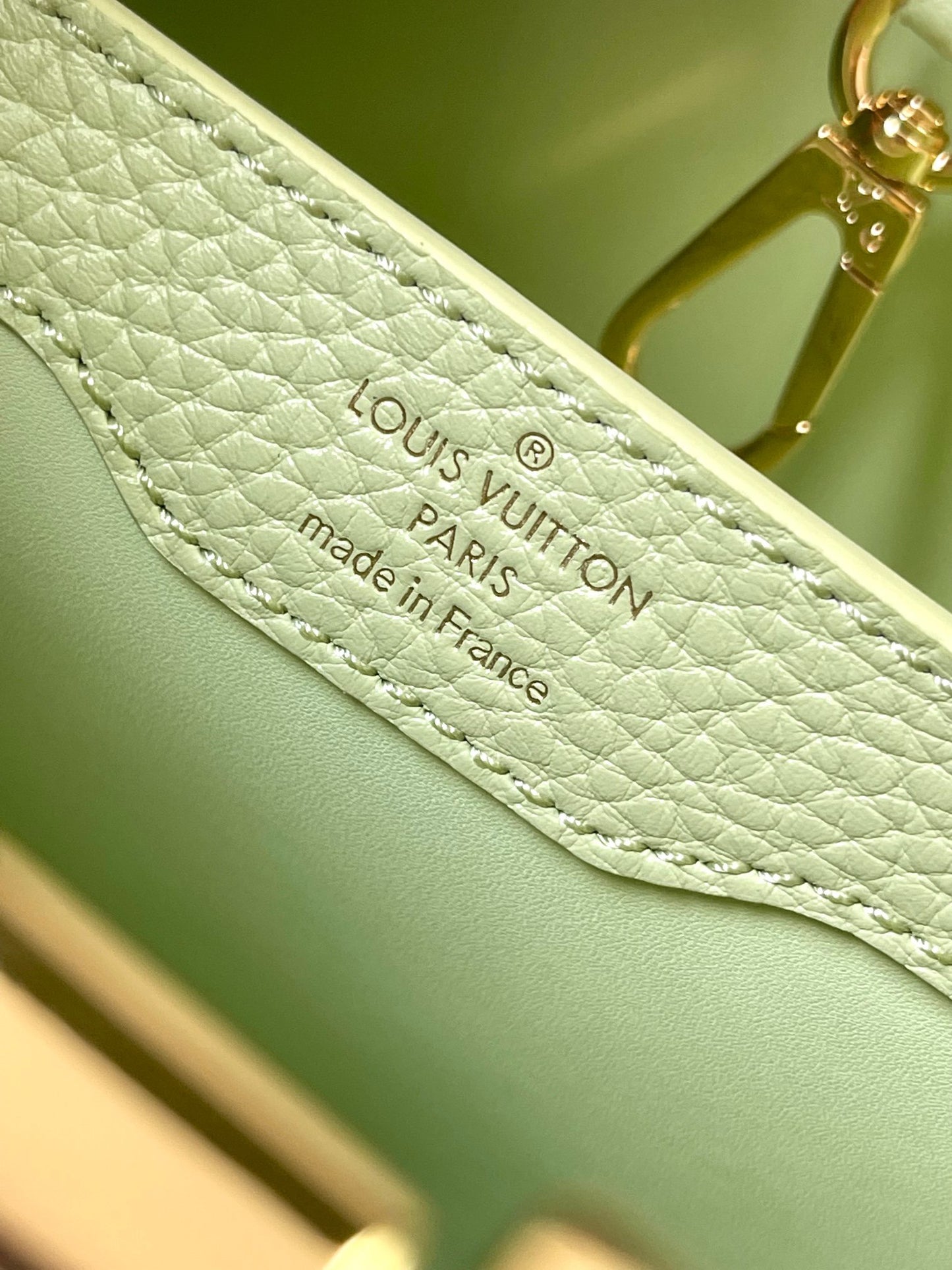 Louis Vuitton Capucines Medium Bag In Avocado Green